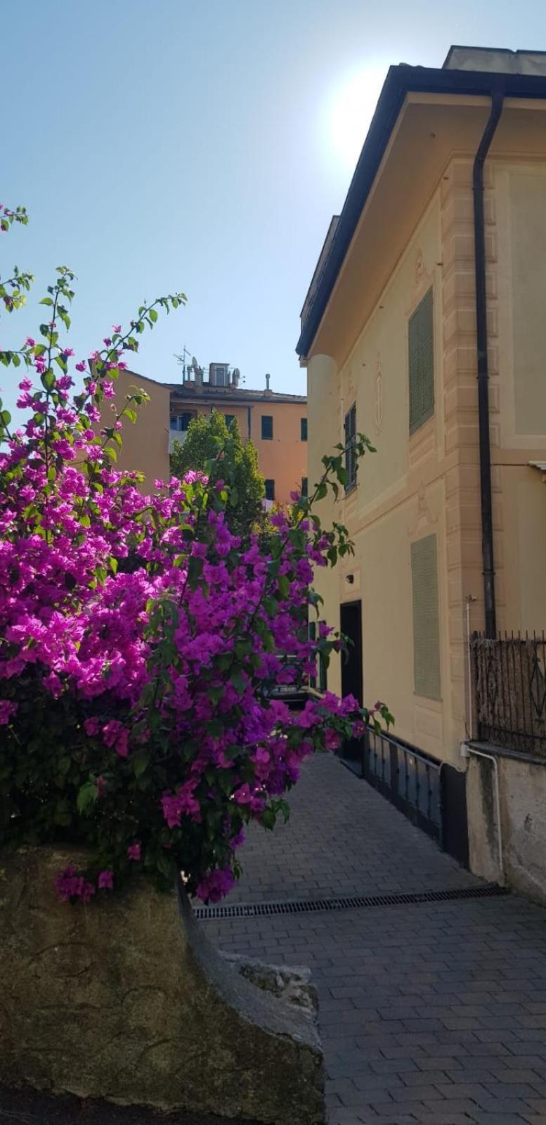 Altamarea Appartement Genua